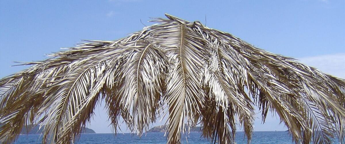 Achladias beach, Skiathos island - one of the most beautiful Greece islands
#BVSBlue #blue