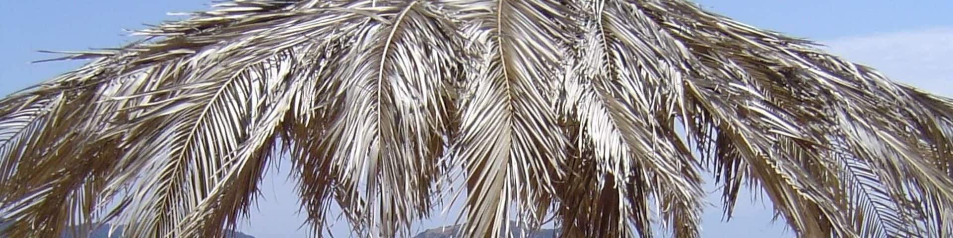 Achladias beach, Skiathos island - one of the most beautiful Greece islands
#BVSBlue #blue