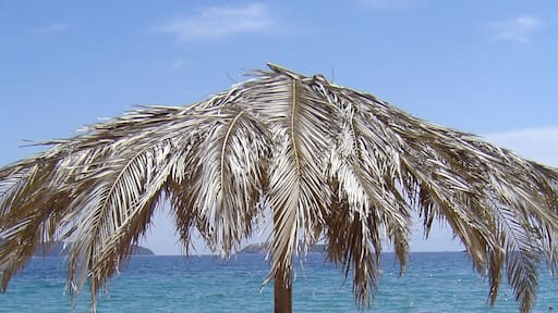 Achladias beach, Skiathos island - one of the most beautiful Greece islands
#BVSBlue #blue