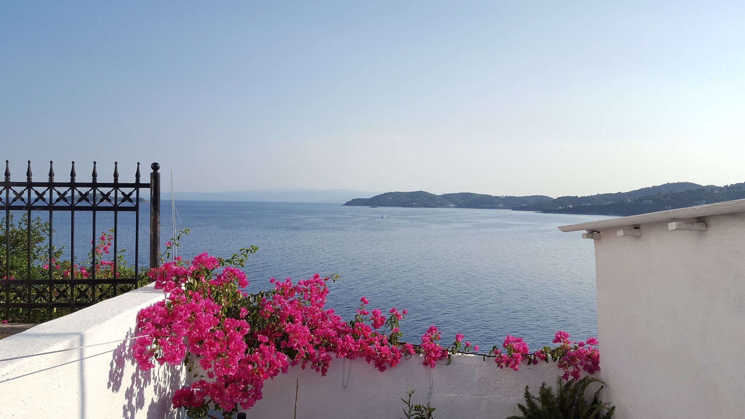 A coastal view with pink bougainvillea flowers, a clear blue sea, and distant hills.