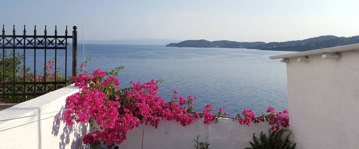 A coastal view with pink bougainvillea flowers, a clear blue sea, and distant hills.