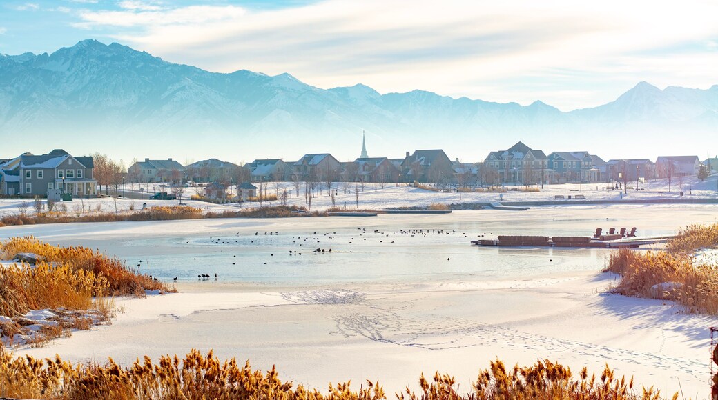 Salt Lake Count Inversion