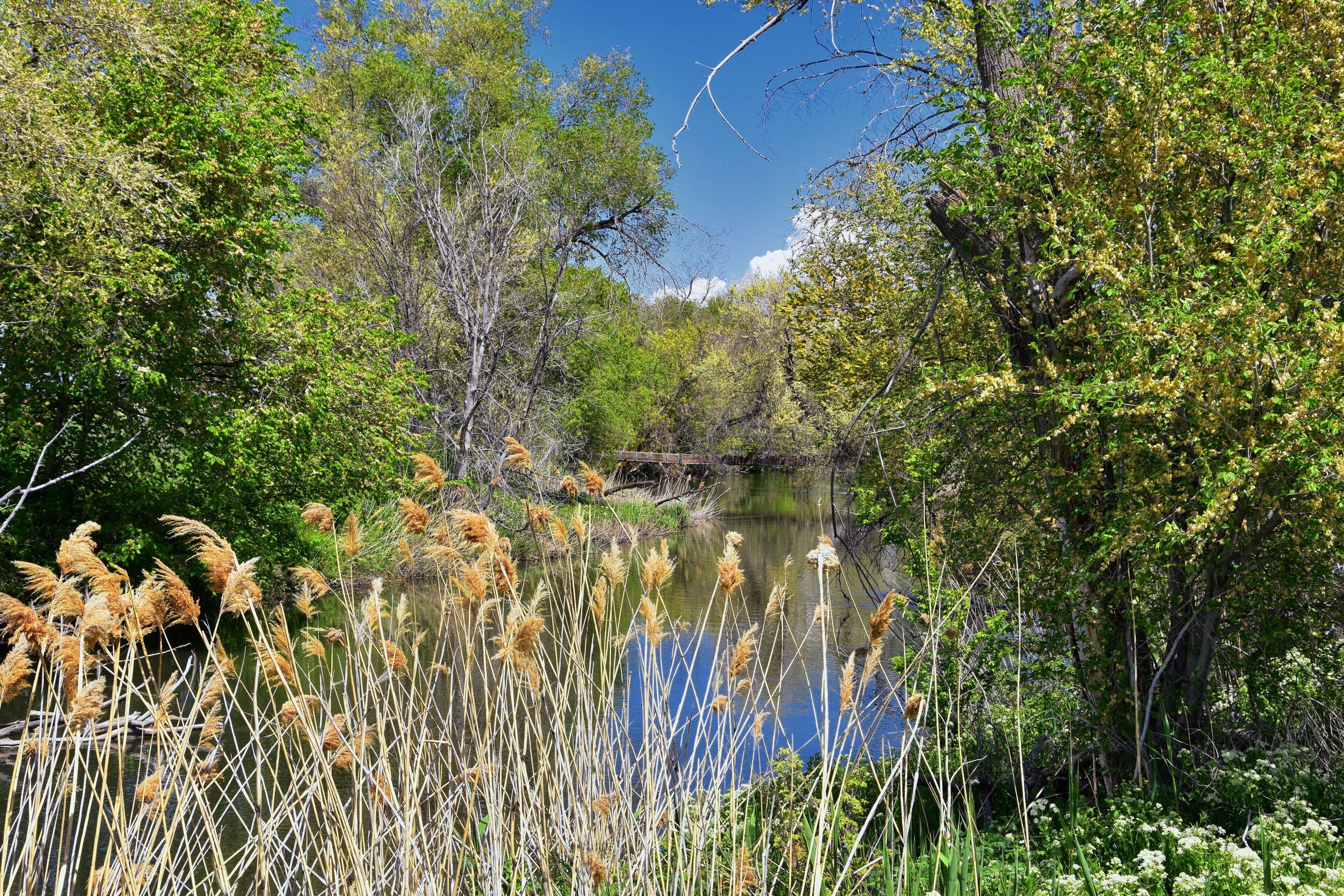 Jordan River Parkway Trail, Redwood Trailhead bordering the Legacy Parkway Trail, panorama views with surrounding trees and silt filled muddy water along the Rocky Mountains, Salt Lake City, Utah. 