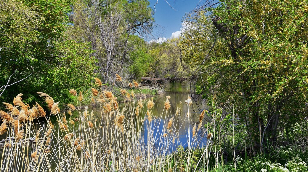 Jordan River Parkway Trail, Redwood Trailhead bordering the Legacy Parkway Trail, panorama views with surrounding trees and silt filled muddy water along the Rocky Mountains, Salt Lake City, Utah.