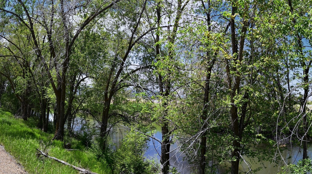 Jordan River Parkway Trail, Redwood Trailhead bordering the Legacy Parkway Trail, panorama views with surrounding trees and silt filled muddy water along the Rocky Mountains, Salt Lake City, Utah.
