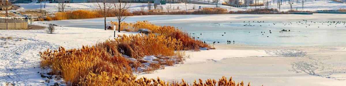Salt Lake County Inversion