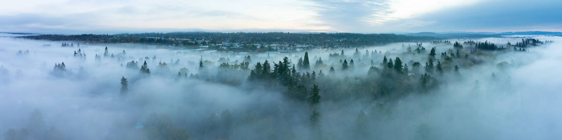 Early morning fog drifts through the Willamette Valley in West Linn, Oregon. This scenic area lies just south of the Pacific Northwest city of Portland.