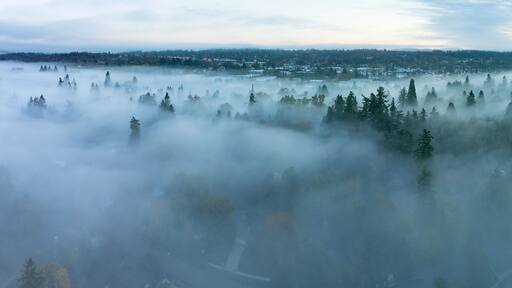 Early morning fog drifts through the Willamette Valley in West Linn, Oregon. This scenic area lies just south of the Pacific Northwest city of Portland.