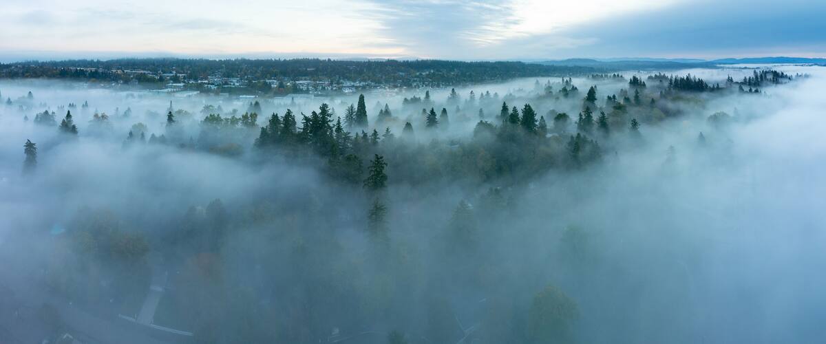 Early morning fog drifts through the Willamette Valley in West Linn, Oregon. This scenic area lies just south of the Pacific Northwest city of Portland.