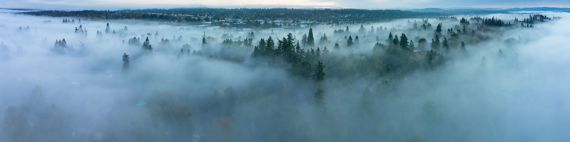 Early morning fog drifts through the Willamette Valley in West Linn, Oregon. This scenic area lies just south of the Pacific Northwest city of Portland.