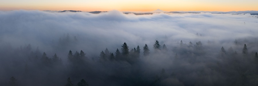 Dawn illuminates fog drifting through the forests found throughout the Willamette Valley in Oregon. The entire Pacific Northwest region is known for its vast forests and moist, temperate weather.