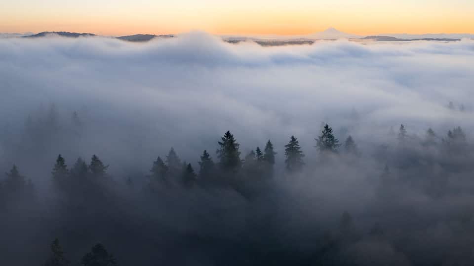 A forested mountain range with a sunrise or sunset.