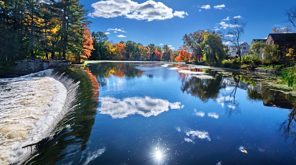 ์จ์คํธ๋ดํด