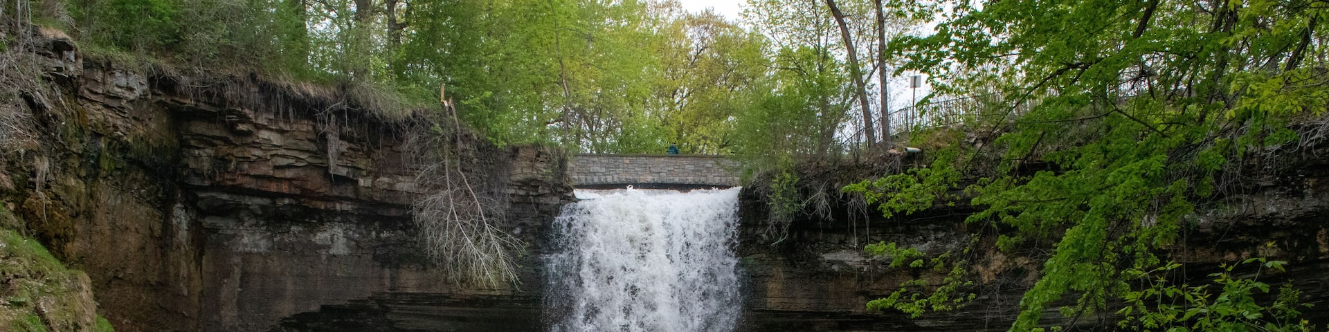 A waterfall cascading down a rocky cliff into a river surrounded by lush greenery.