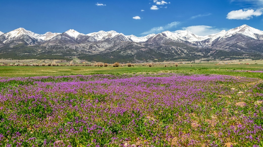 Westcliffe
Colorado
Sangre De Cristo Mountains
America
USA