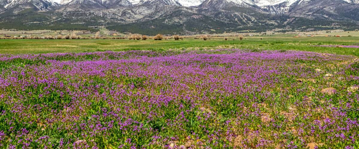 Westcliffe
Colorado
Sangre De Cristo Mountains
America
USA