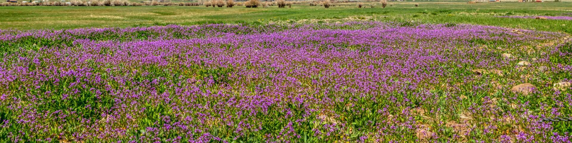 Westcliffe
Colorado
Sangre De Cristo Mountains
America
USA