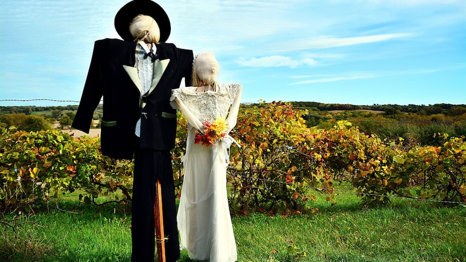 A couple in wedding attire standing in a vineyard with autumn foliage.