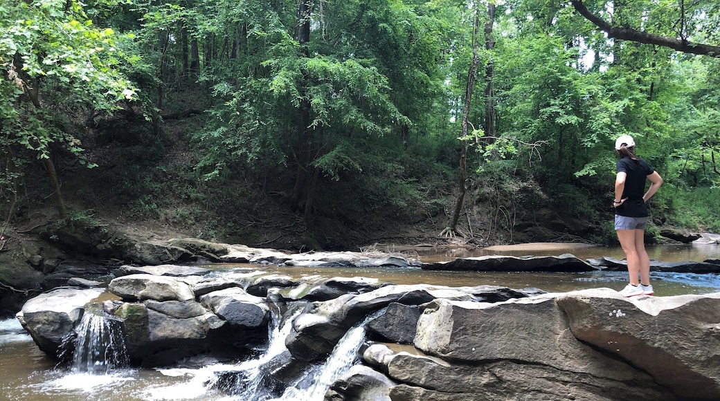 Visit Frugal Family Travelers blog to learn more about this great location, to receive the travel itinerary and to discover more great places like this:
http://frugalfamilytravelers.blogspot.com/2019/07/cool-off-on-coosa-then-soak-in-history.html
Follow us on:
Facebook: https://www.facebook.com/frugalfamilytravelers
Twitter: @FrugalFamTrav