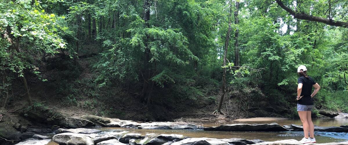 A person standing on a rock by a small waterfall in a forested area.