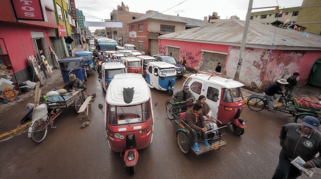 Juliaca in the Puno district of Peru.
#UrbanJungle