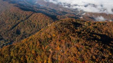 A mountainous landscape with autumn foliage and a valley below.