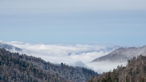 Misty Clouds High in the Smoky Mountains of Tennessee