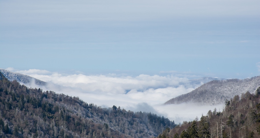 Eine gebirgige Landschaft mit dichten Wäldern und einem Tal, das in Wolken gehüllt ist.