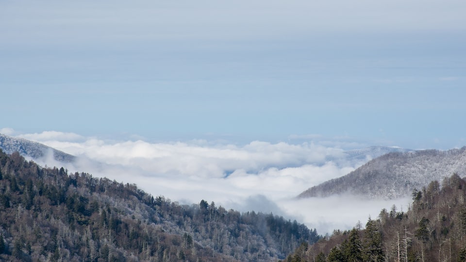 A mountainous landscape with dense forests and a valley shrouded in clouds.