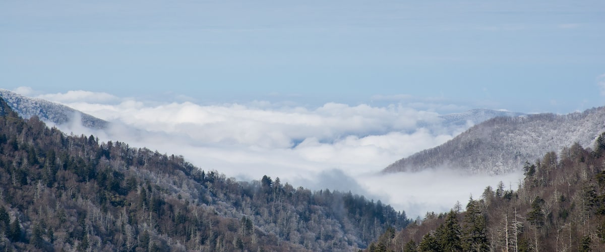 A mountainous landscape with dense forests and a valley shrouded in clouds.