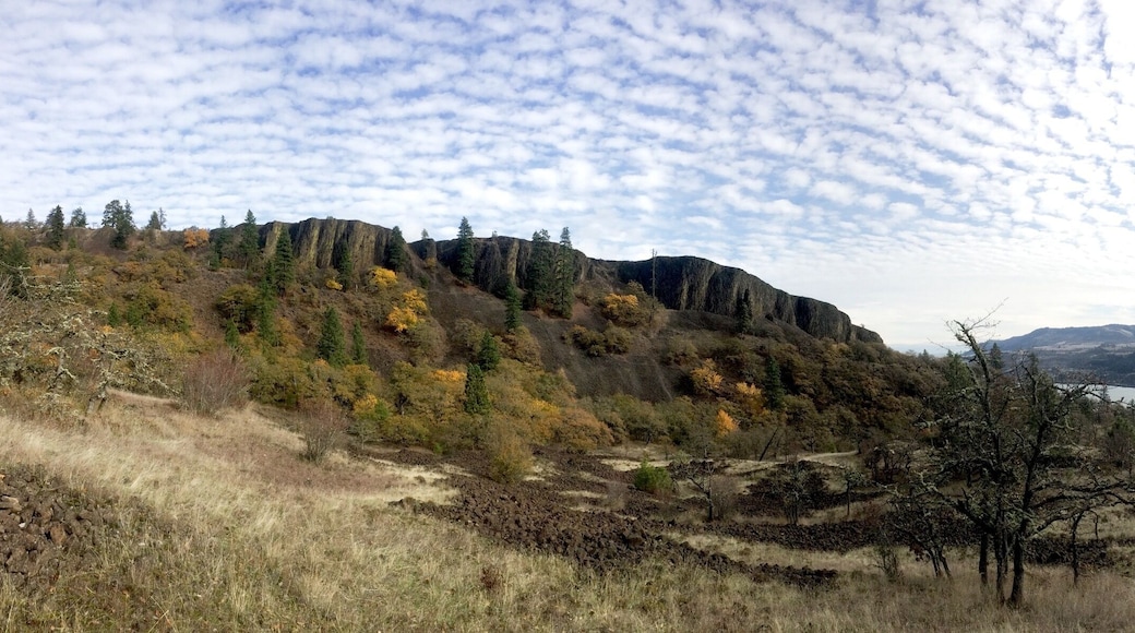 Along the hike to Indian Pits