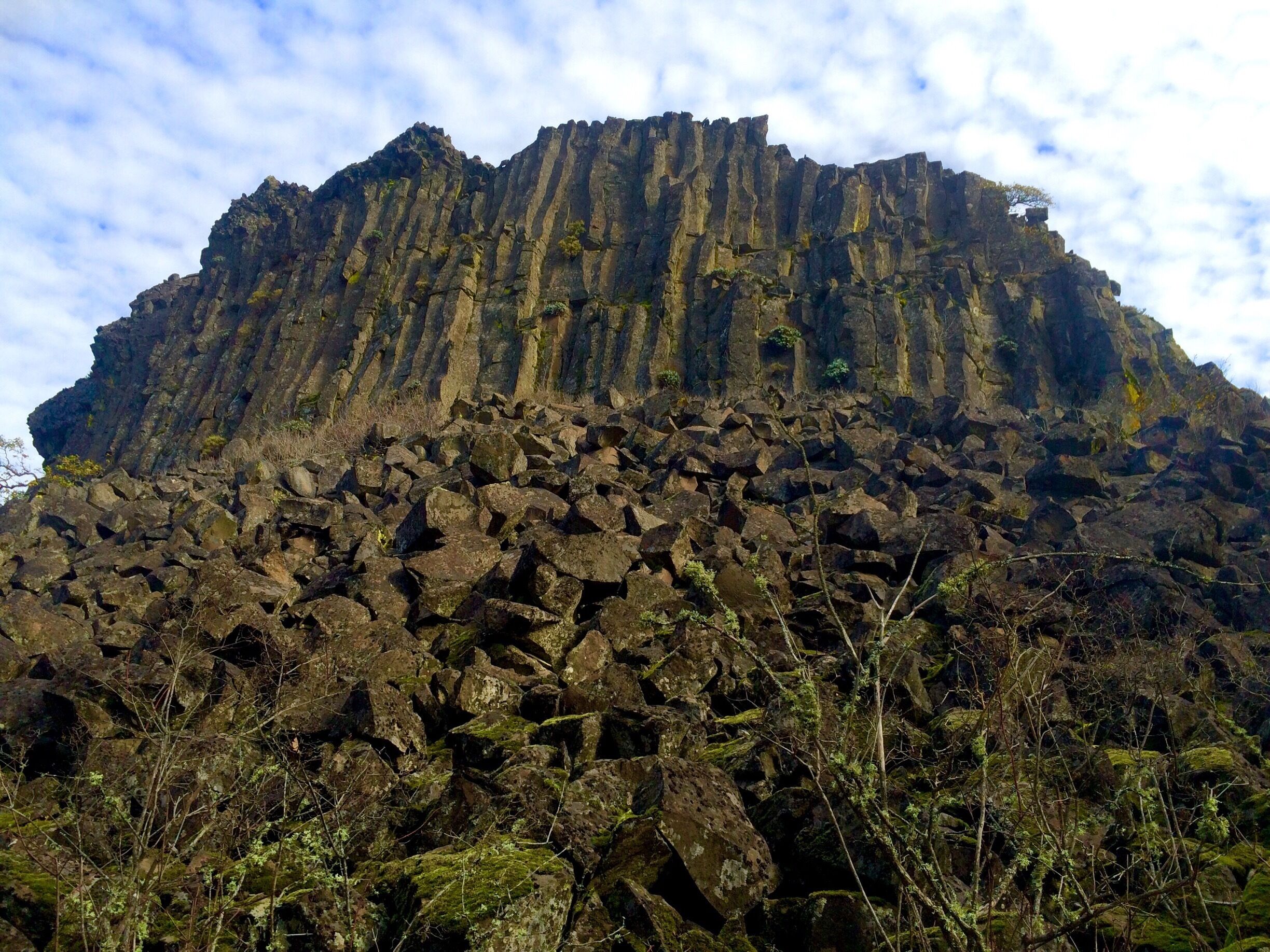 Looking massive in a photo taken lying flat on the ground this approximately 75-foot cliff comes complete with a footbed of talus and a layer of scrub maple lining the path below.