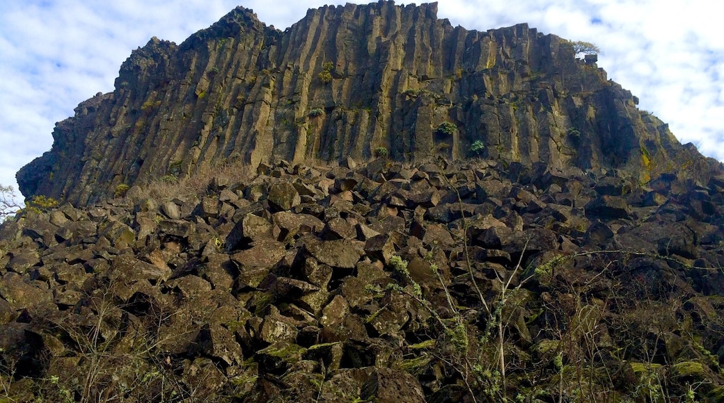 Looking massive in a photo taken lying flat on the ground this approximately 75-foot cliff comes complete with a footbed of talus and a layer of scrub maple lining the path below.