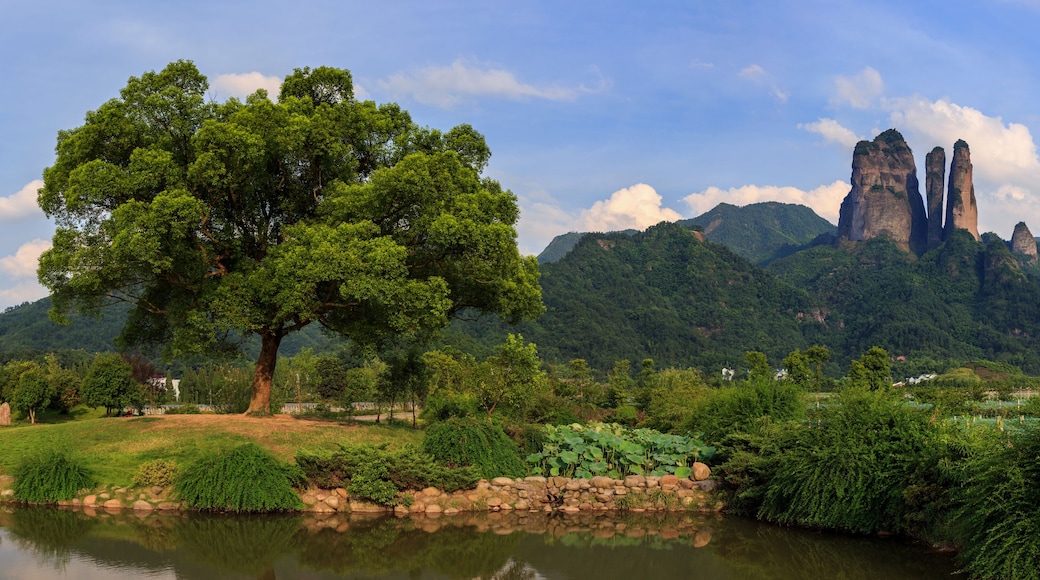 Jianglangshan Scenic Area, Mount Jianglang - Quzhou, Zhejiang Province China. Unesco World Heritage, Danxia Landform, China Danxia Scenic Area. Granite fingers stone towers. Large Green Tree and Grass