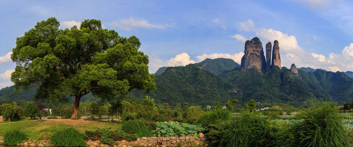 A river with a large tree and rocky shore, surrounded by lush greenery and mountains with tall rock formations in the background.