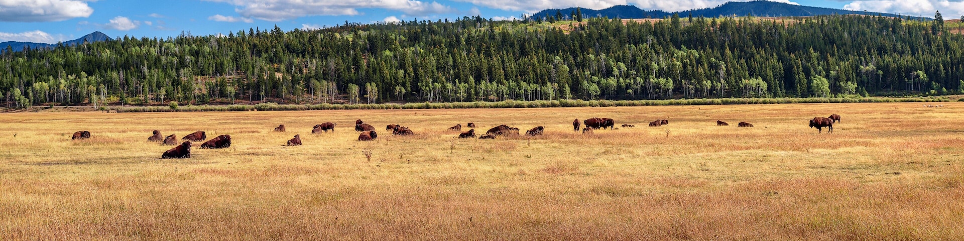 Panoramic view of the large expanse of the Grand Teton, WY, USA