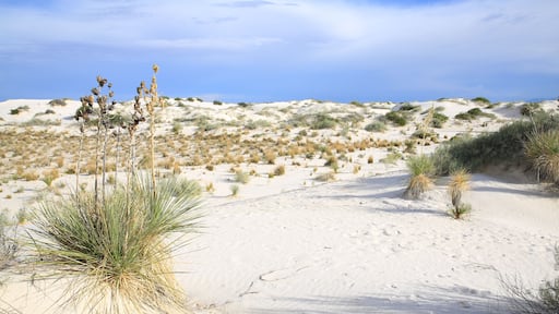 White Sands National Monument in New Mexico, USA