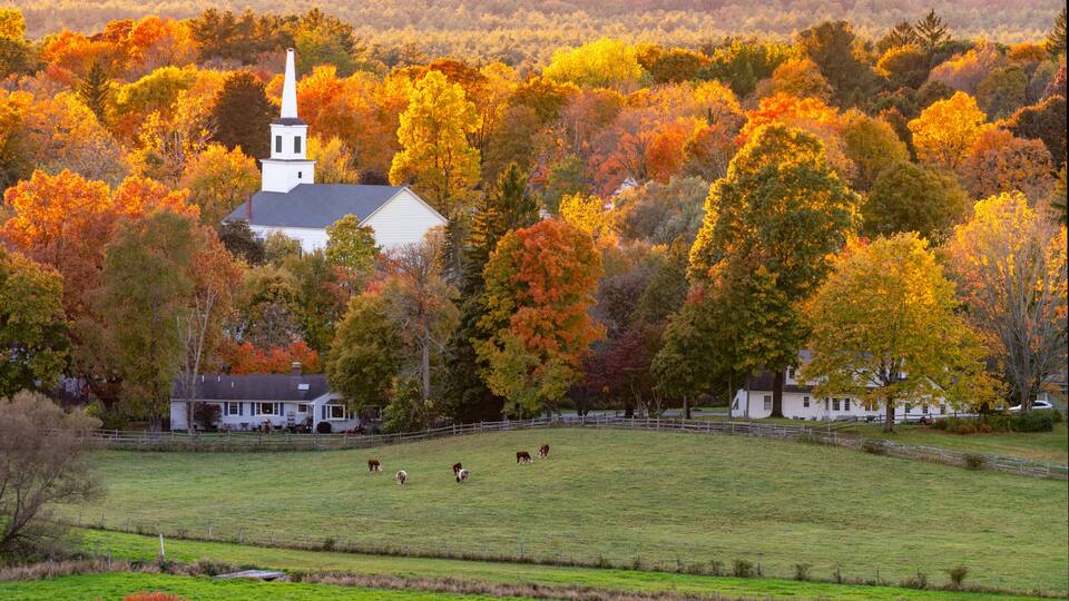 A white church with a steeple surrounded by autumn-colored trees.