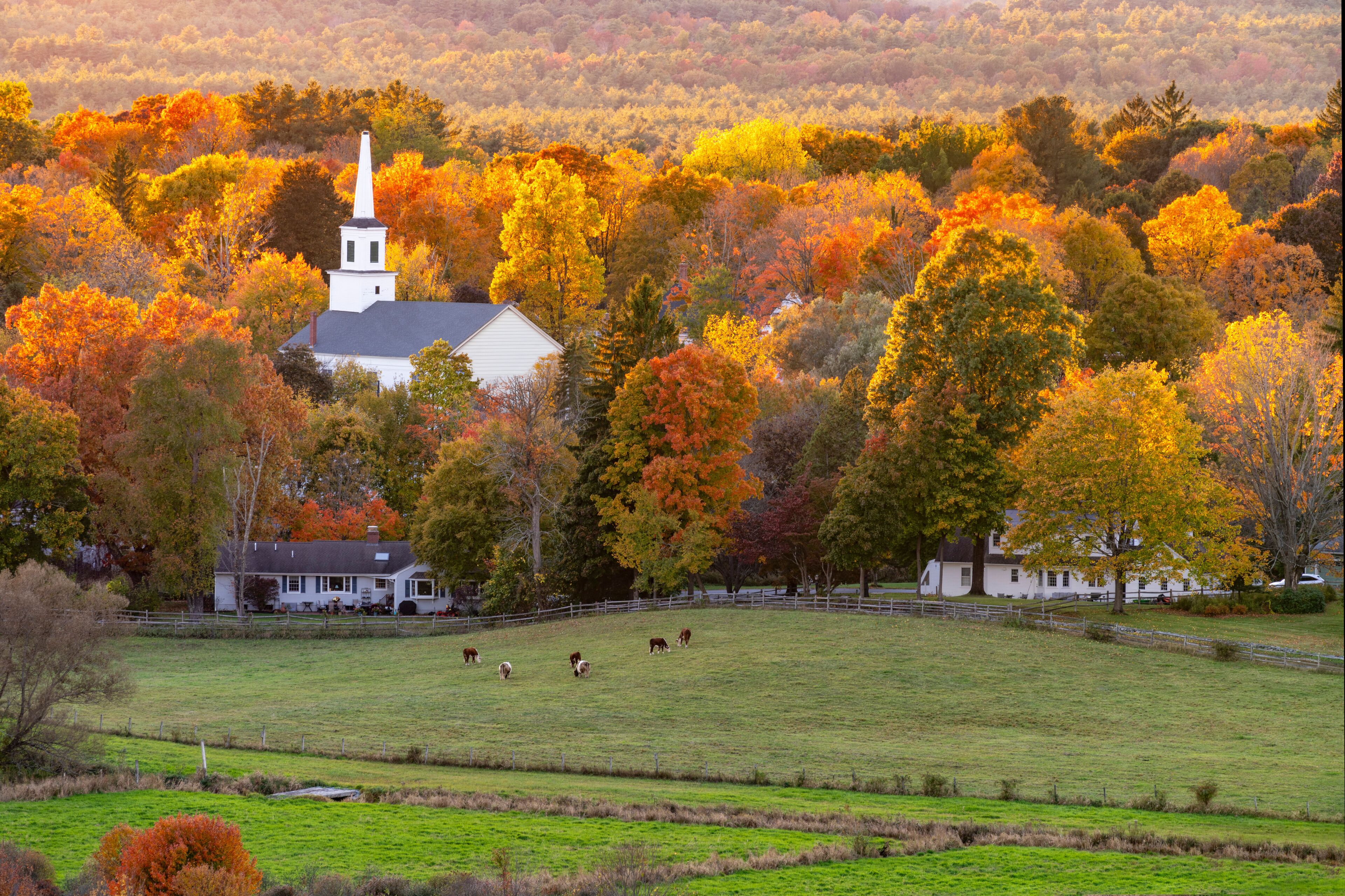 A white church with a steeple surrounded by autumn-colored trees.