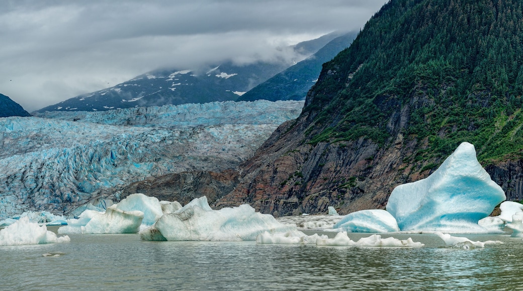 Lake near Mendhenall Glacier huge landscape