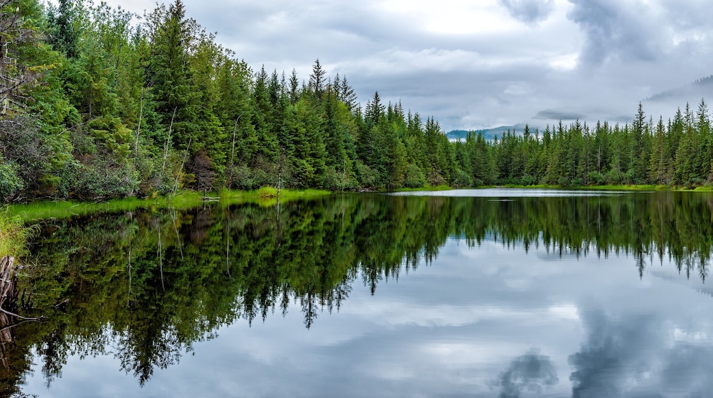 Lake near Mendhenall Glacier huge landscape