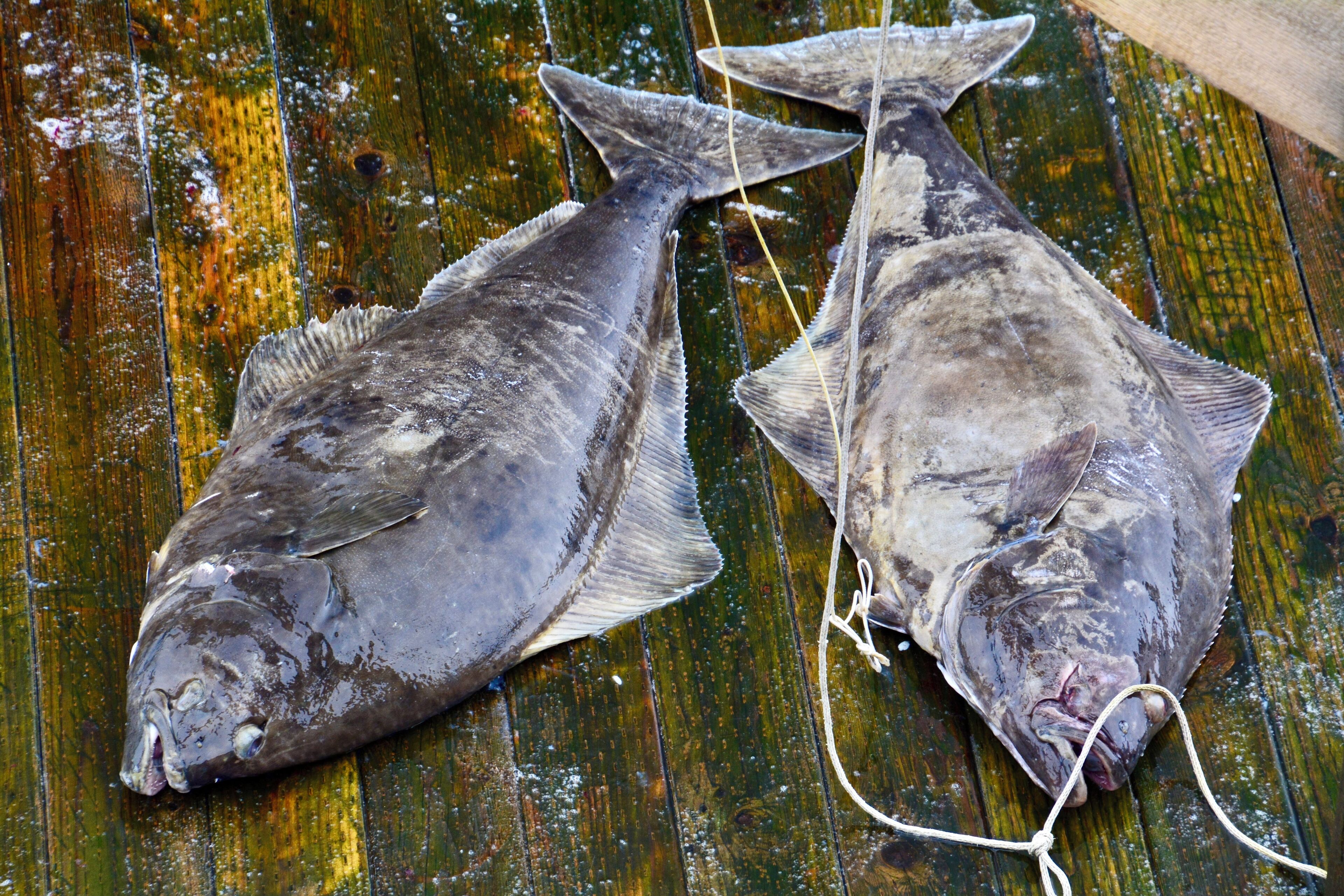 Great Saturday catch. 