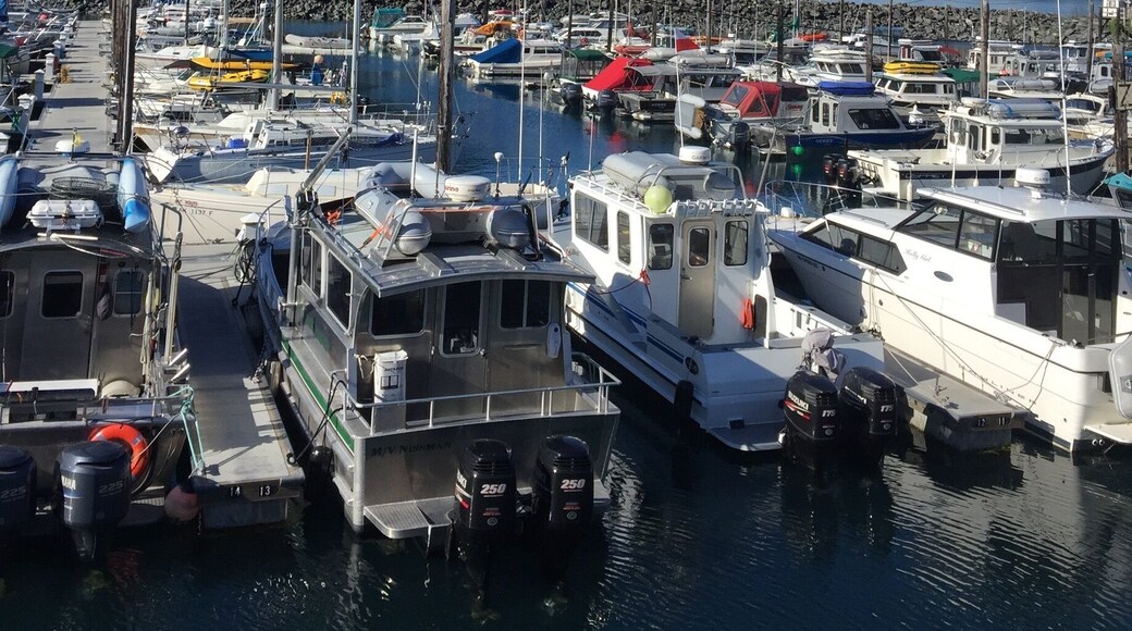Take the tunnel through the mountain to find this little gem fishing community in Alaska