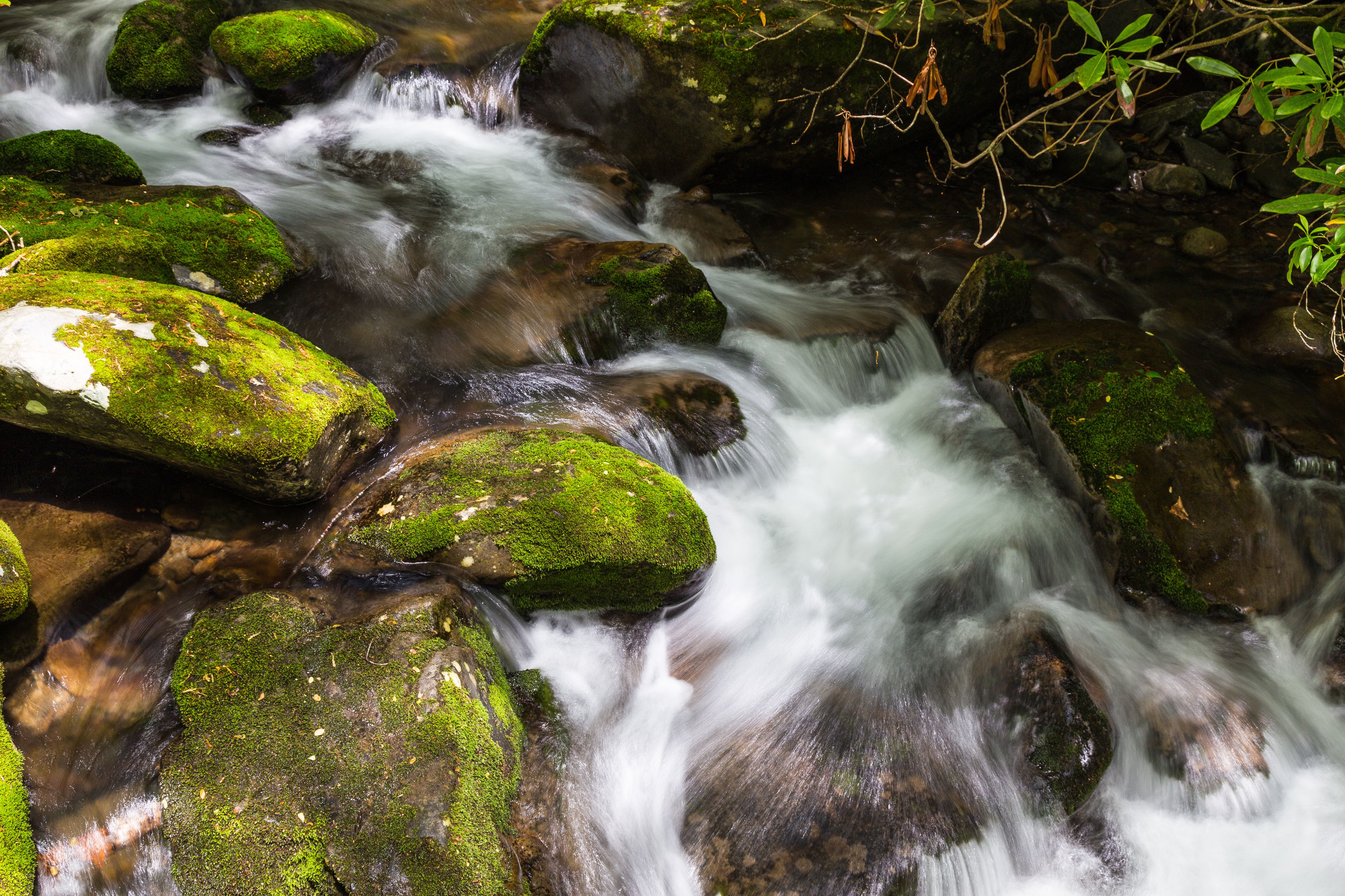 Kephart Prong in Great Smoky Mountains National Park in North Carolina, United States