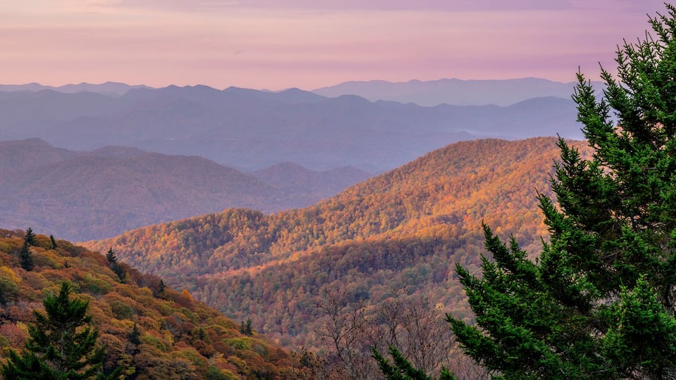 A mountainous landscape with autumn foliage.
