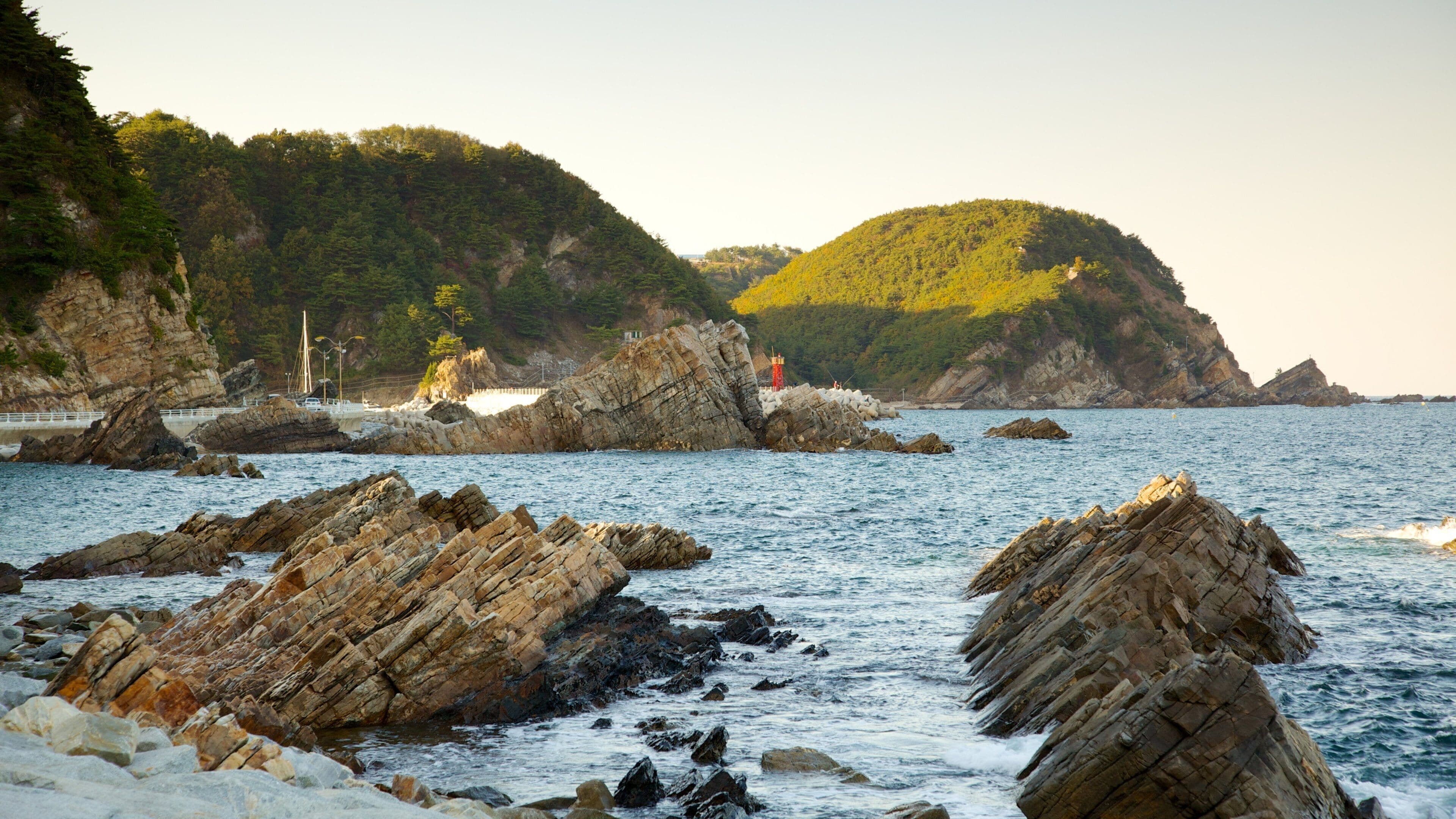 Gangneung showing landscape views and rugged coastline