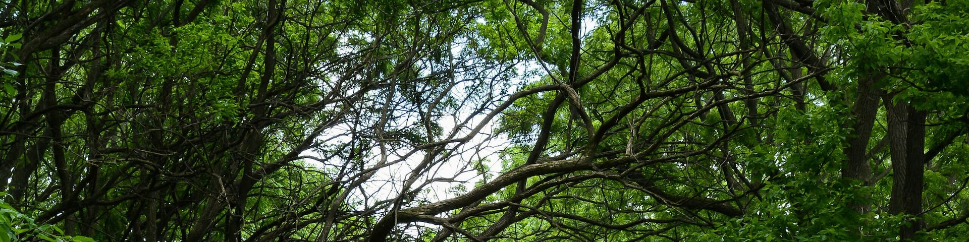 Wauponsee Glacial Trai