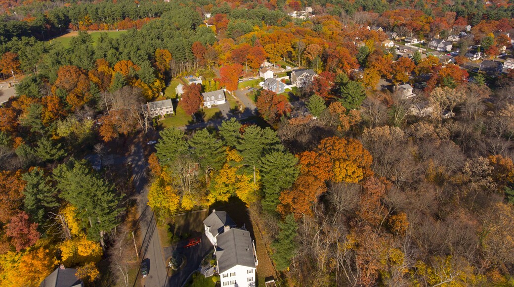 Aerial view of Wilmington historic town center with fall foliage, Wilmington, Massachusetts, USA.