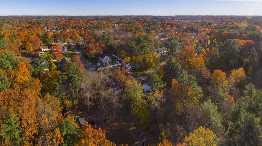 Aerial view of Wilmington historic town center with fall foliage panorama, Wilmington, Massachusetts, USA.