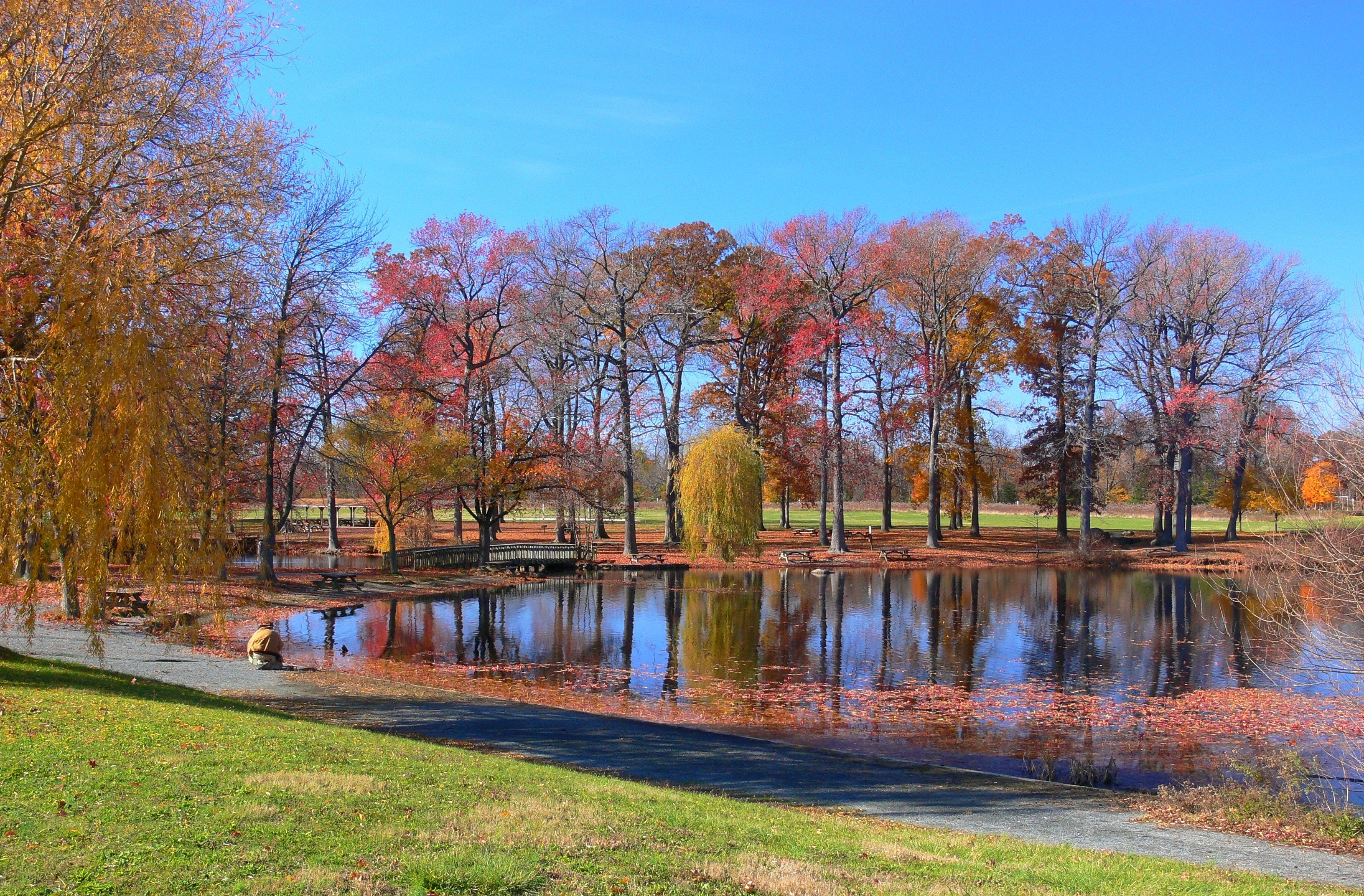 Autumn colours in Wilmington, USA
